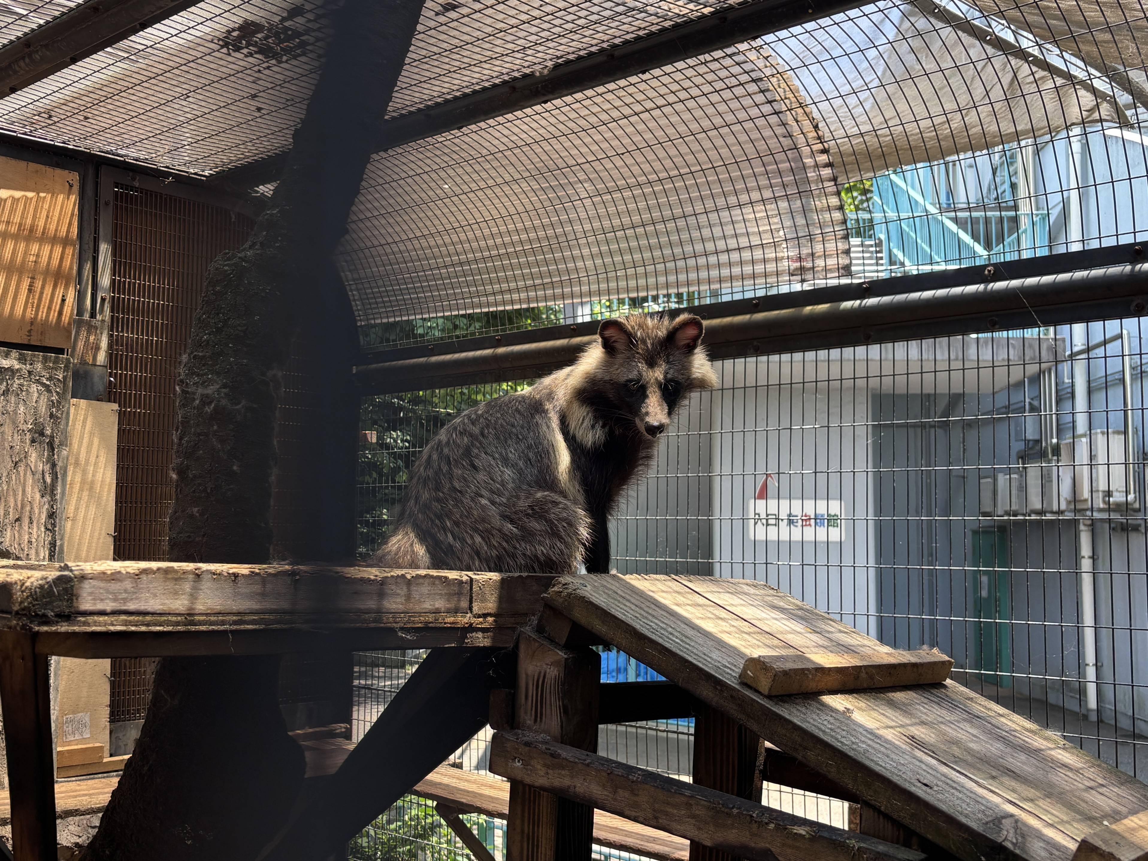 ⑮7月のウタ.jpg