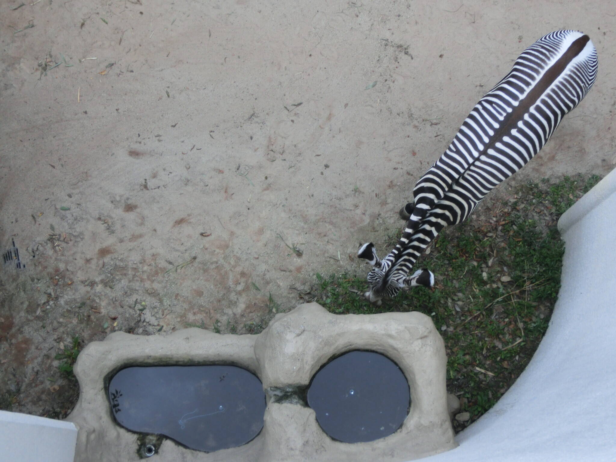 20200620③.jpg