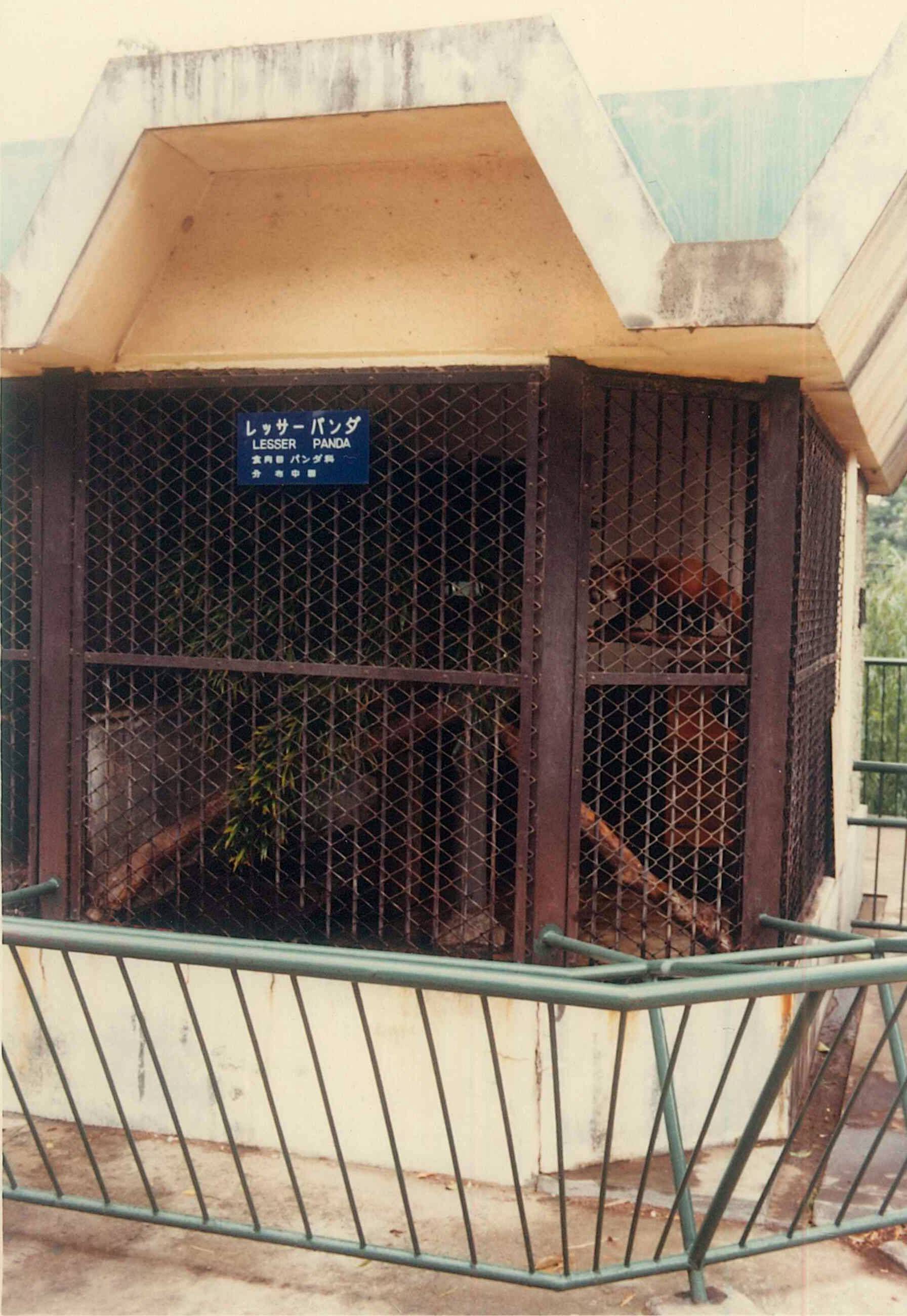 1977年小獣舎のレッサーパンダ舎.jpg