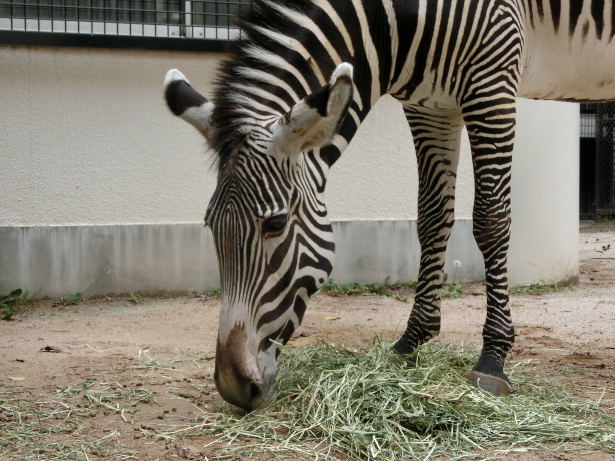 20200620⑦.jpg