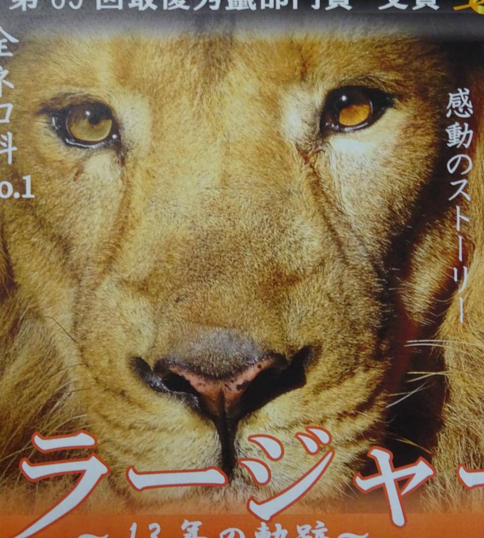 ひとりぼっちの