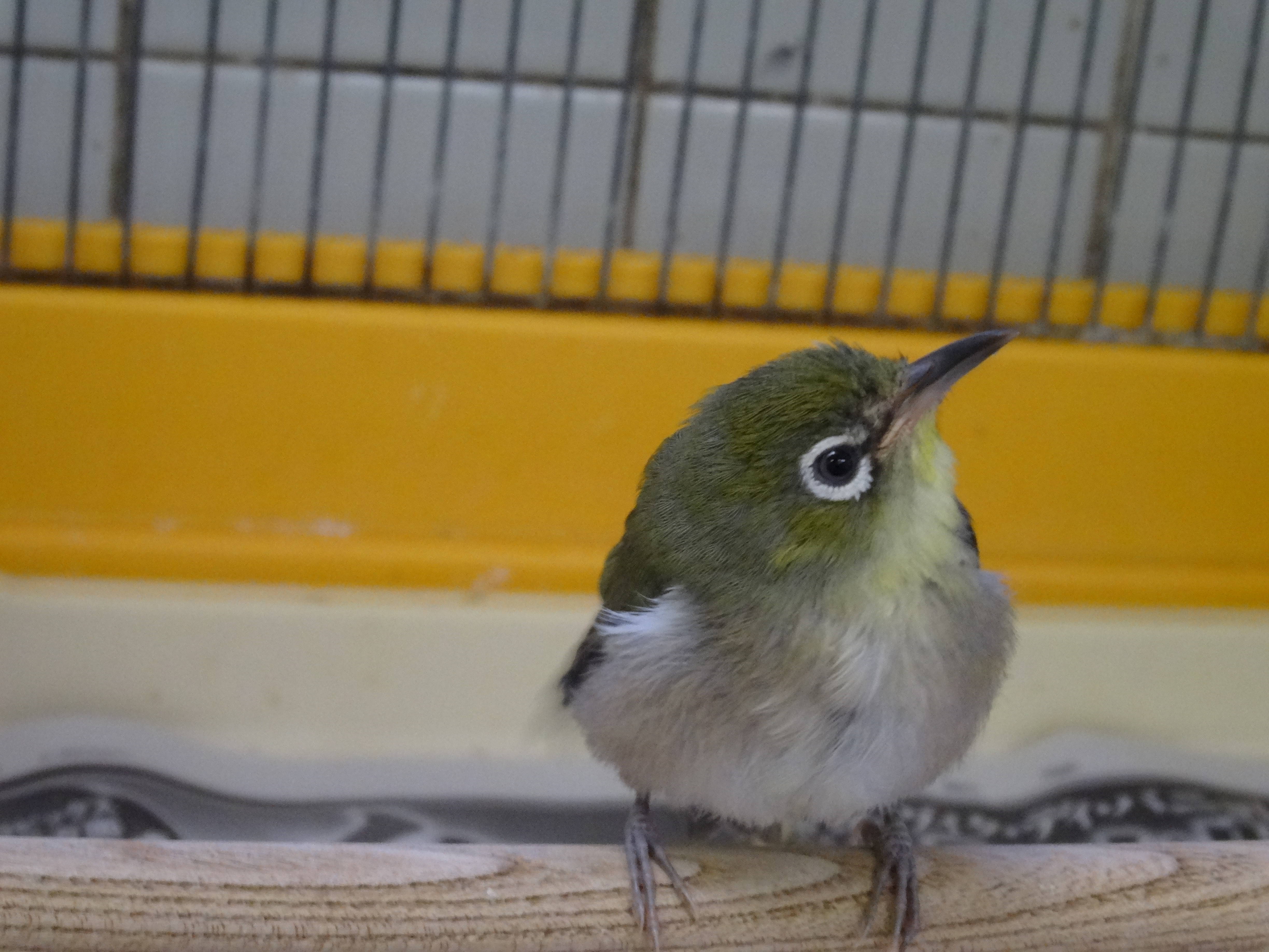 2017ブログトピック1107③ .jpg