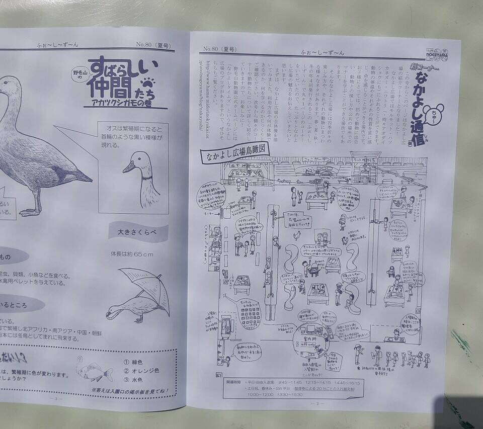 ふぉ~し~ず~んも要チェック!」|なかよしタイムズ|ブログ ふぉ~し~ず~んも要チェック!」|なかよしタイムズ|ブログ