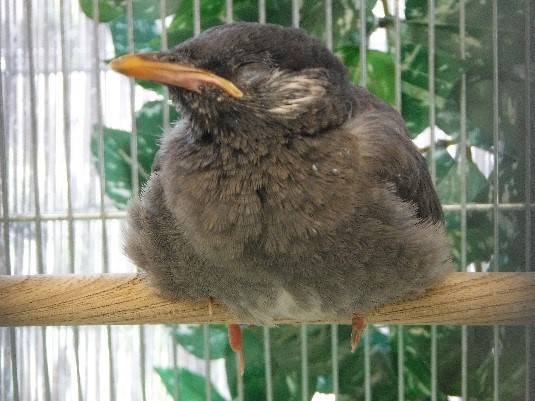 2017 ブログトピック　0819④.jpg