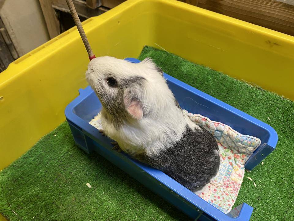 セポッチ箱誘導 (2).jpg