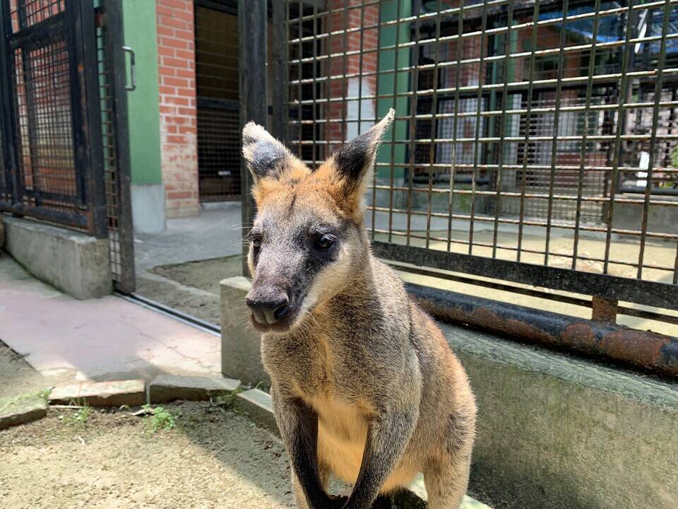 パーシー ブログ⑥.jpg