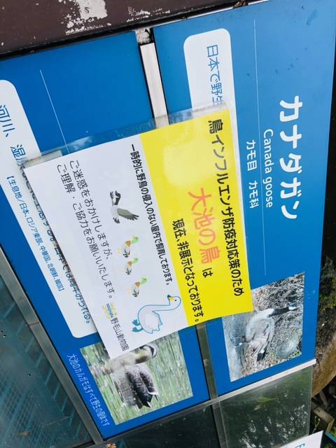 鳥インフルエンザ看板.jpeg