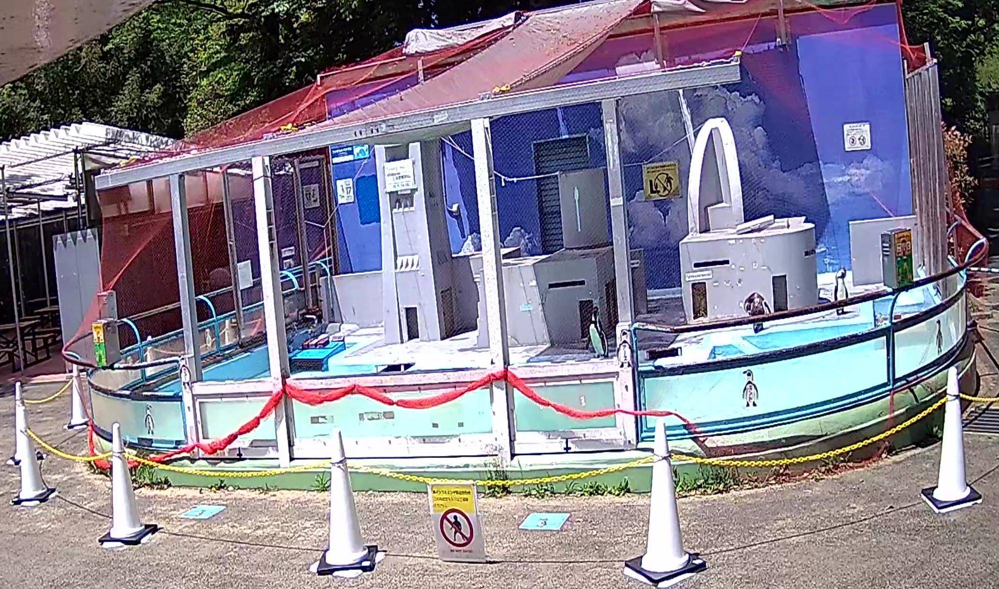 日除けをつけたペンギンの展示場.jpg