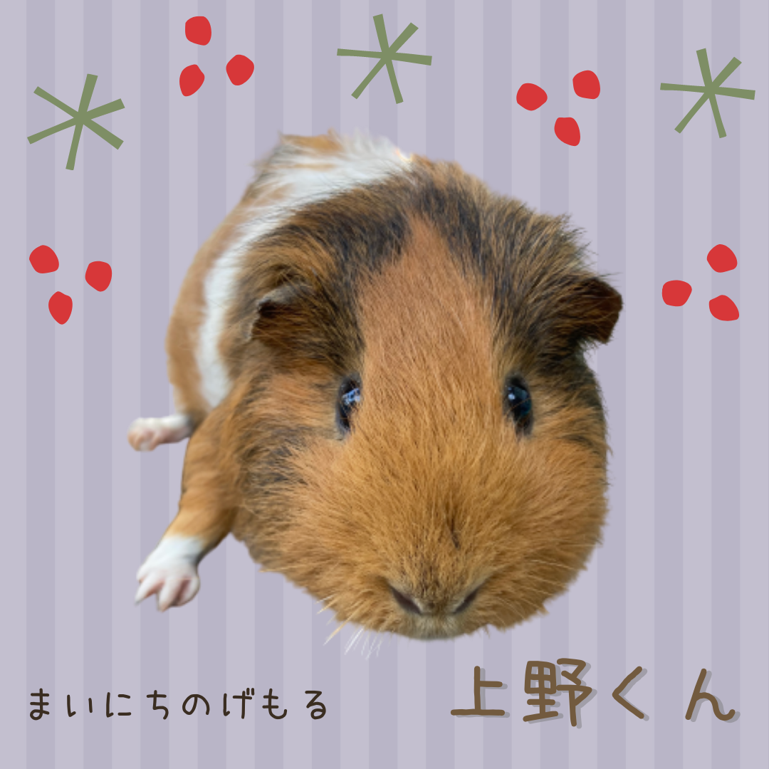上野くん.png