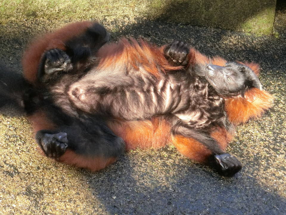 2018ブログトピック1210 ④.jpg