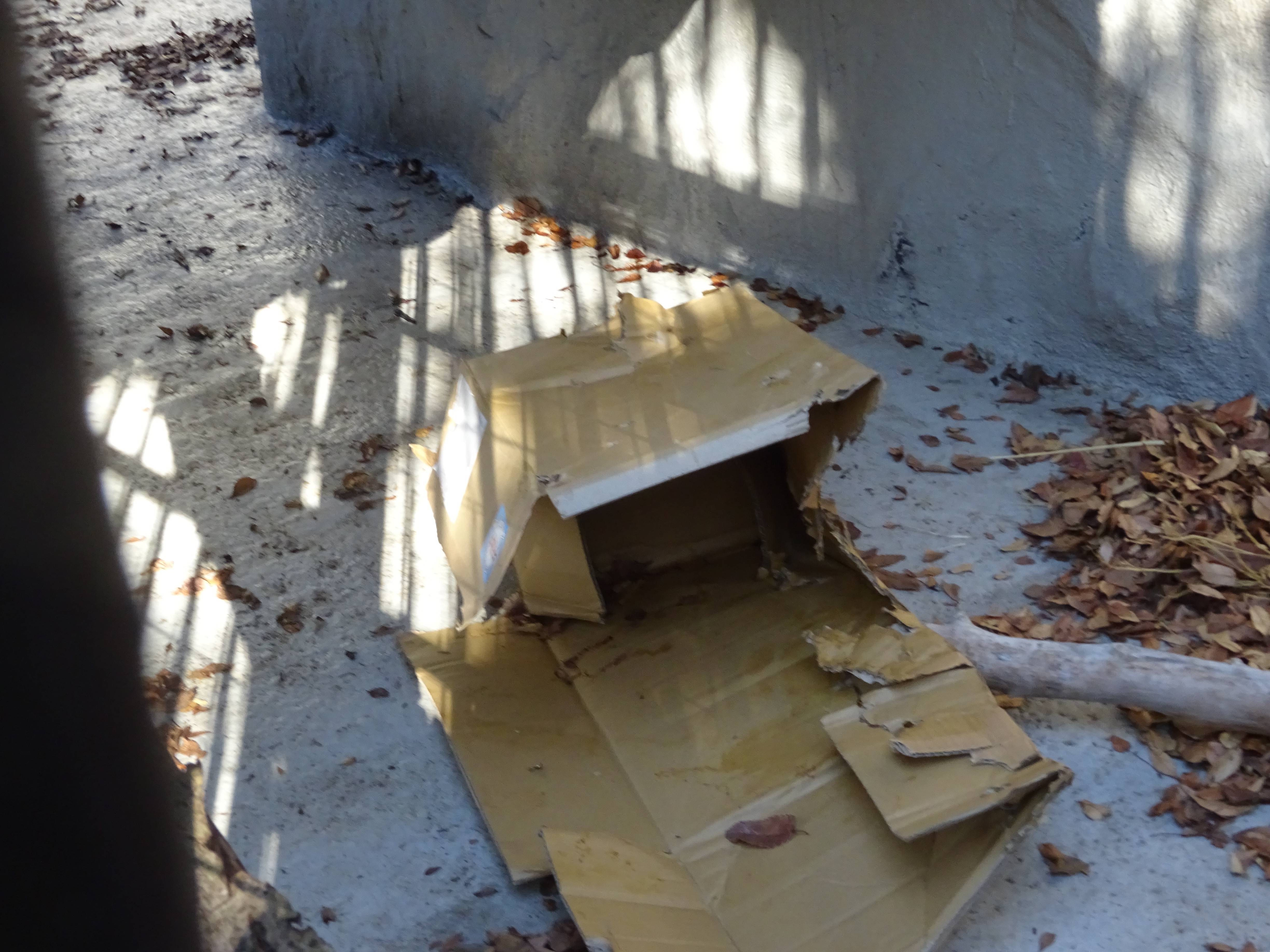 12箱の残骸.jpg
