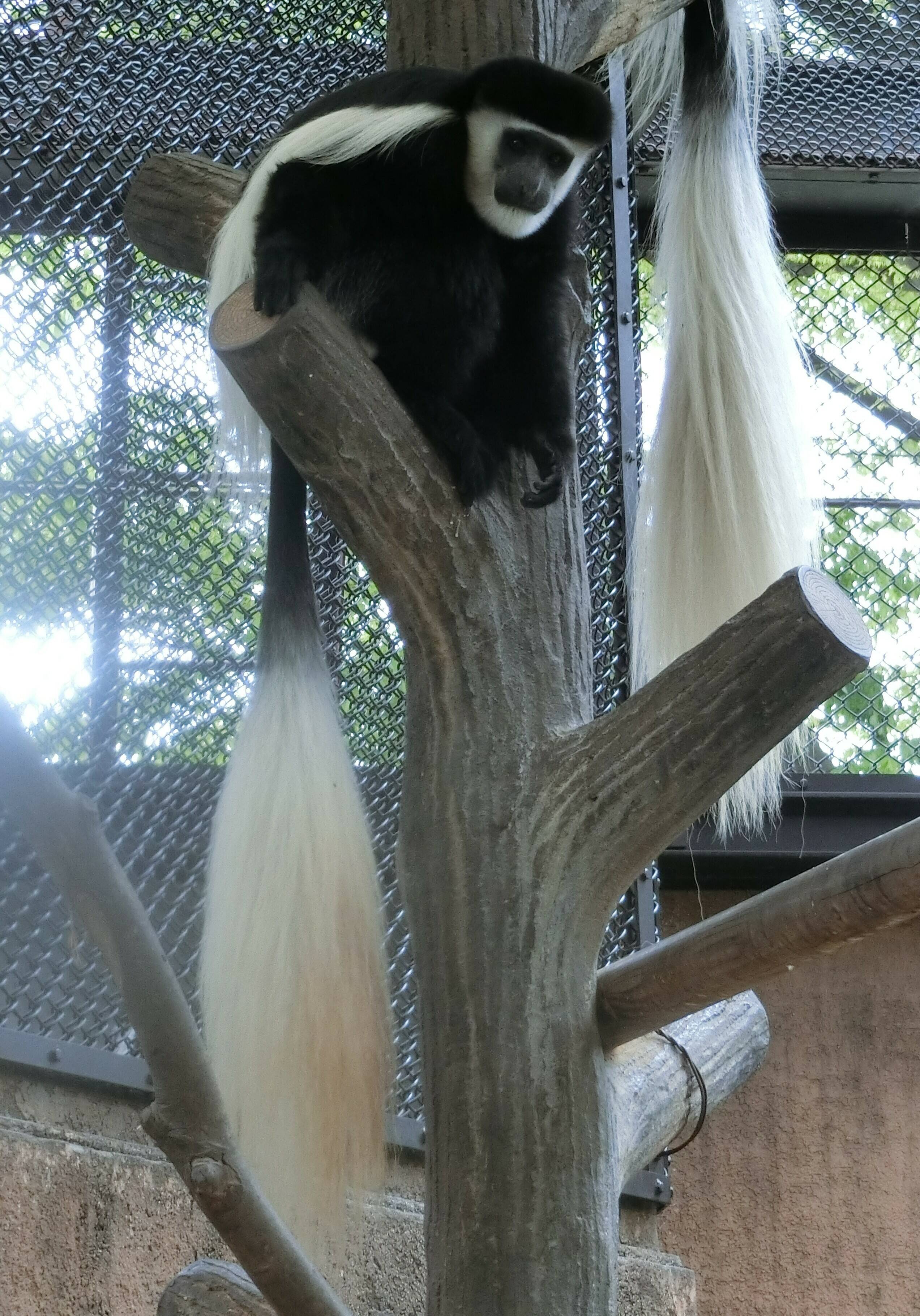 CIMG0836.jpg