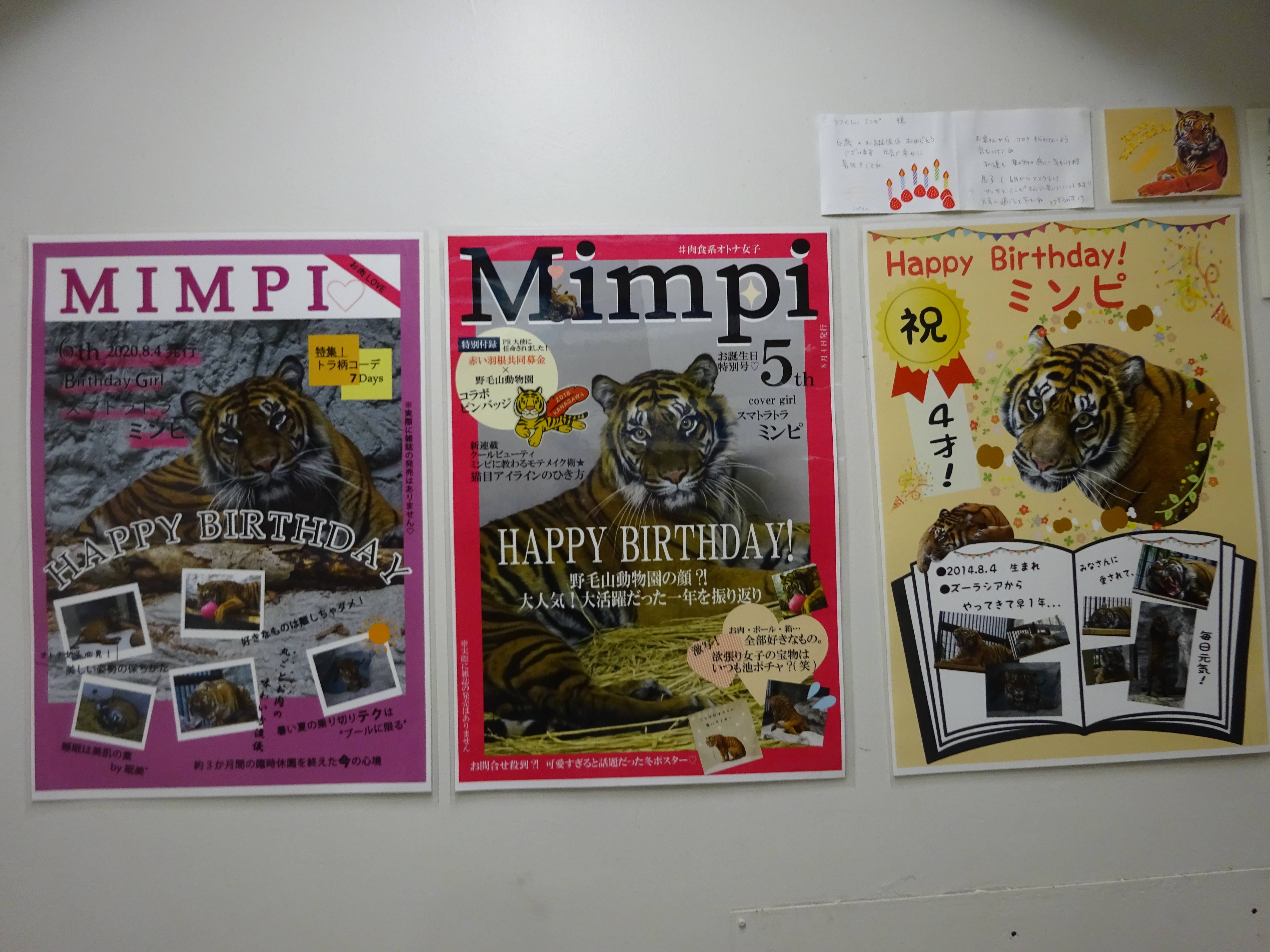 とうとう のげやま とらいおん Try On 野毛山動物園公式サイト 公益財団法人 横浜市緑の協会 とうとう のげやま とらいおん Try On 野毛山動物園公式サイト 公益財団法人 横浜市緑の協会