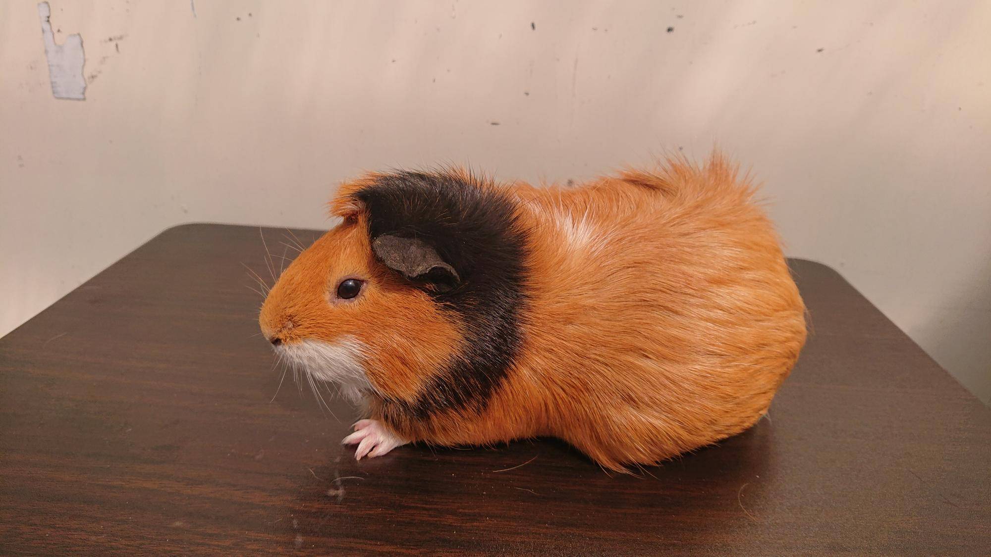 タイフーンくらら 左側.jpg