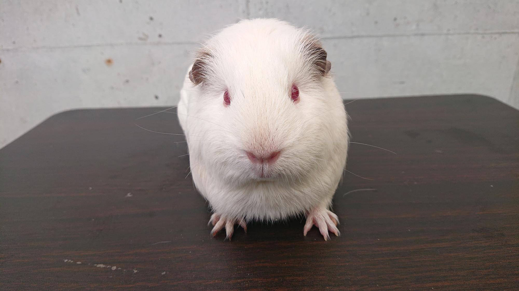 ココナッツ 正面.jpg