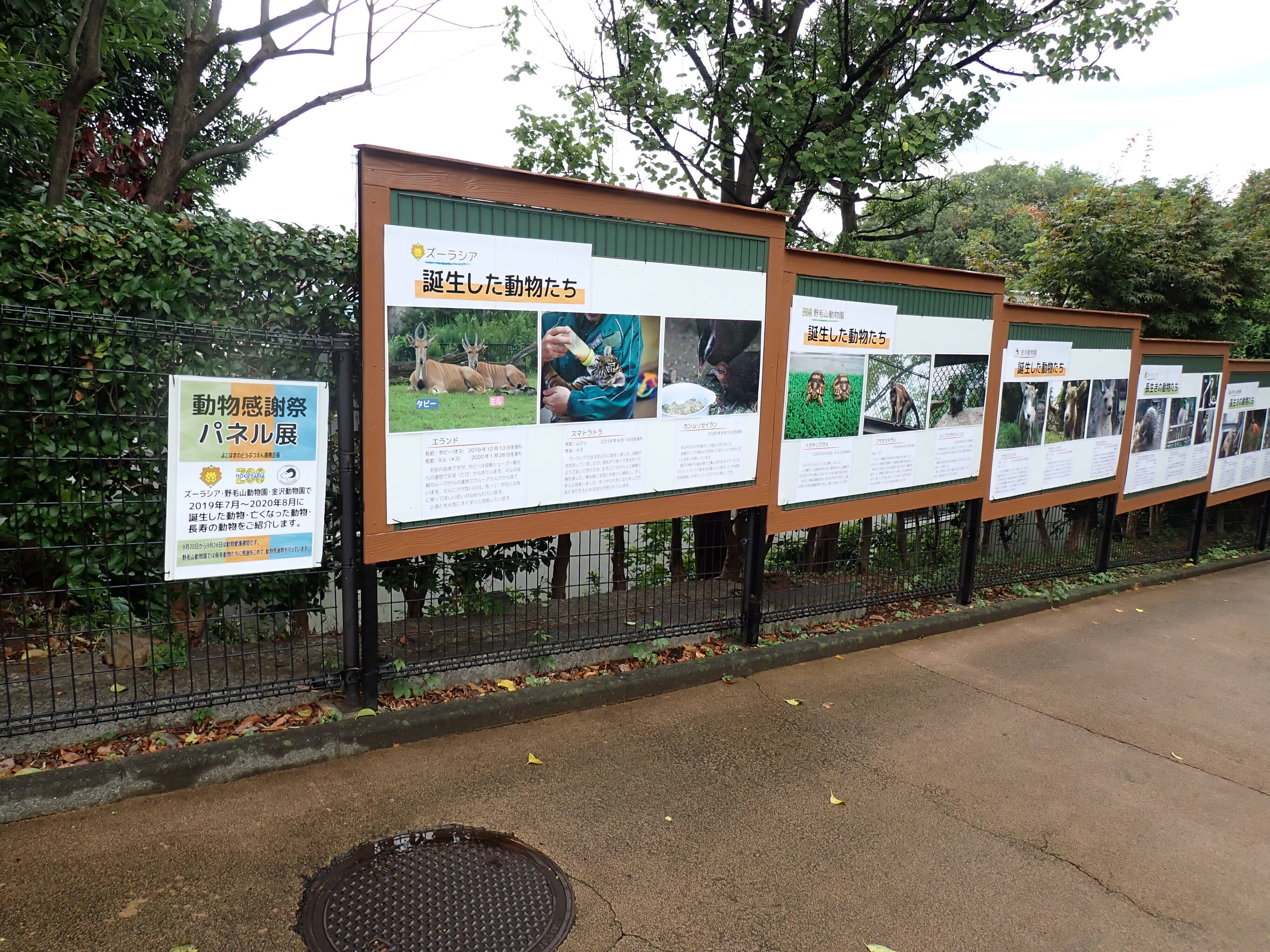 隠れたご長寿 動物トピックス 野毛山動物園公式サイト 公益財団法人 横浜市緑の協会
