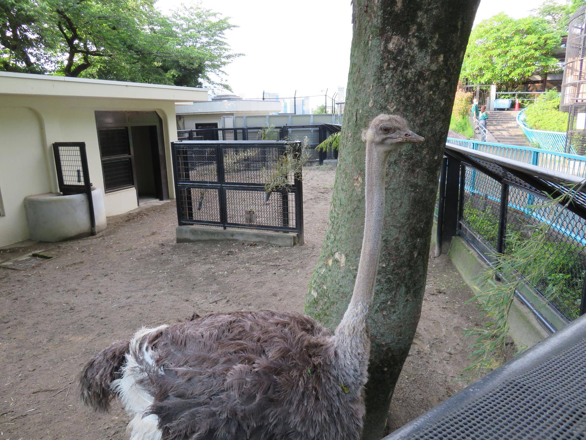 グミさん (2).jpg