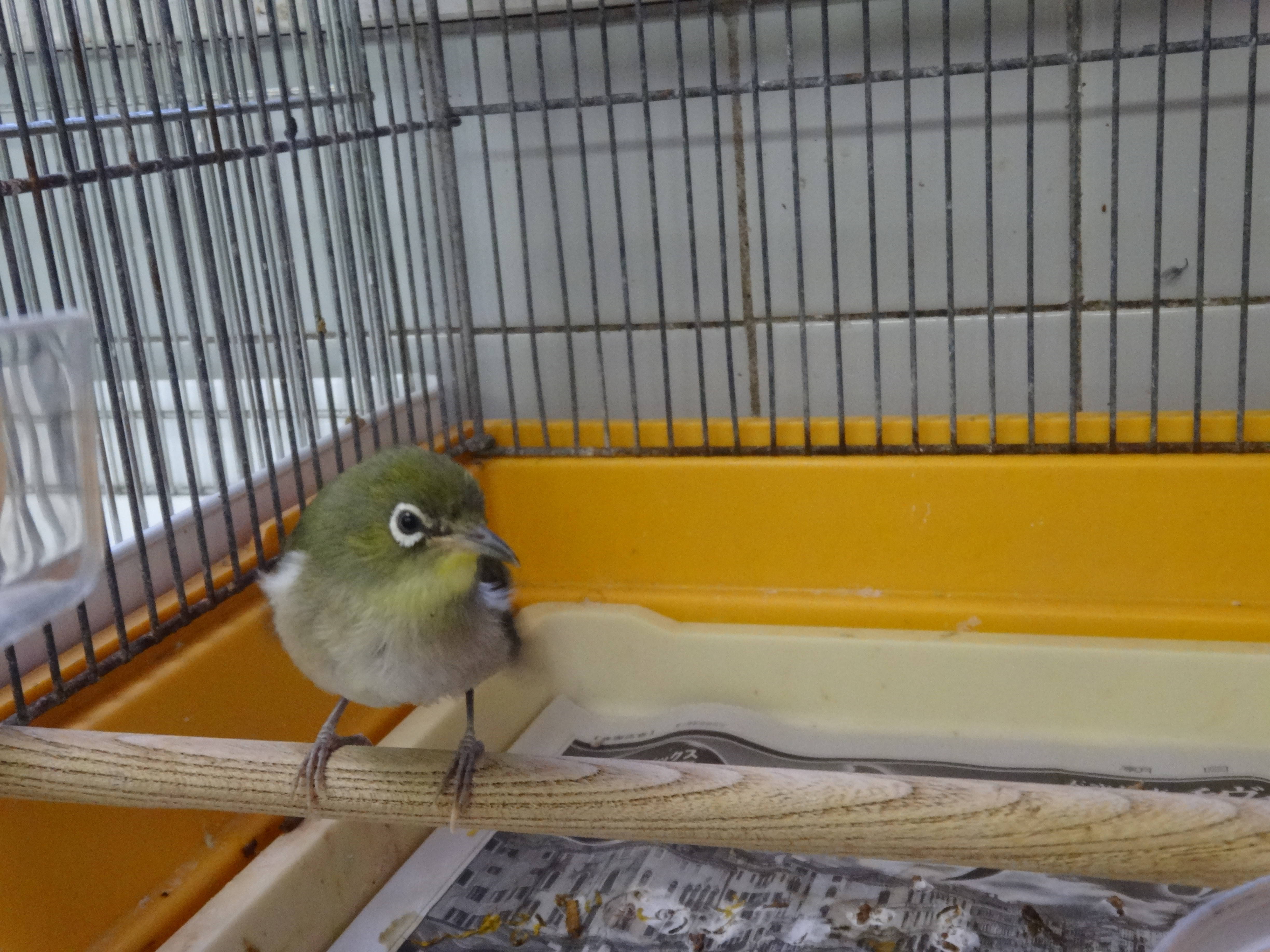 2017ブログトピック1107⑤ .jpg