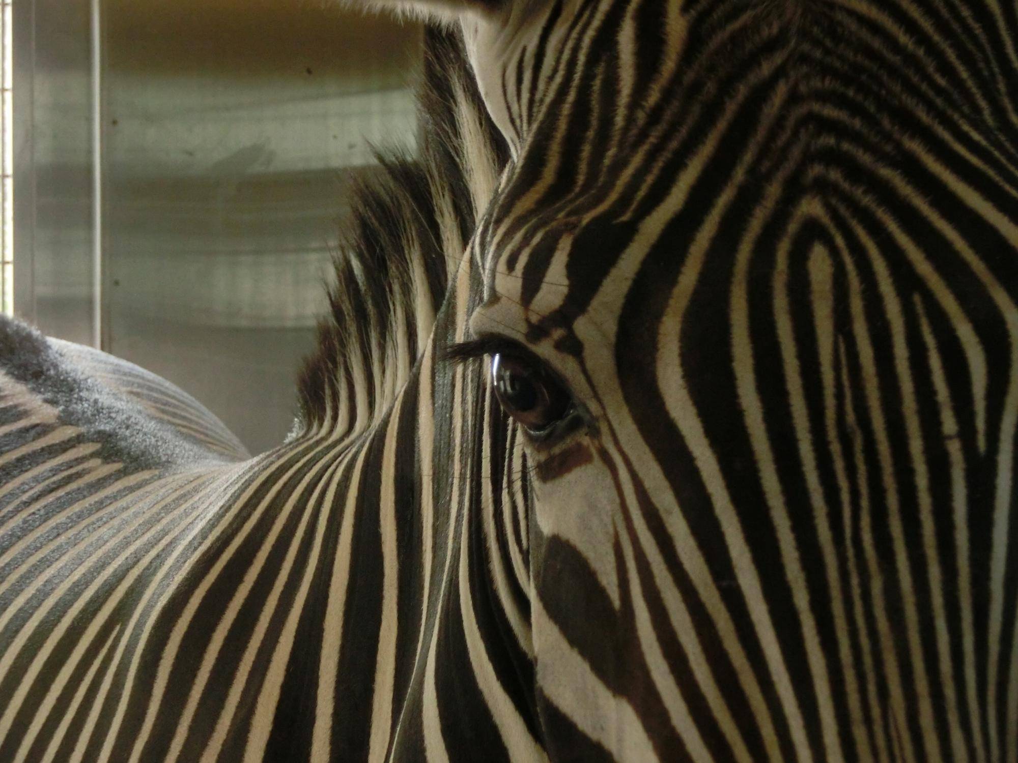 見つめる「ココロ」