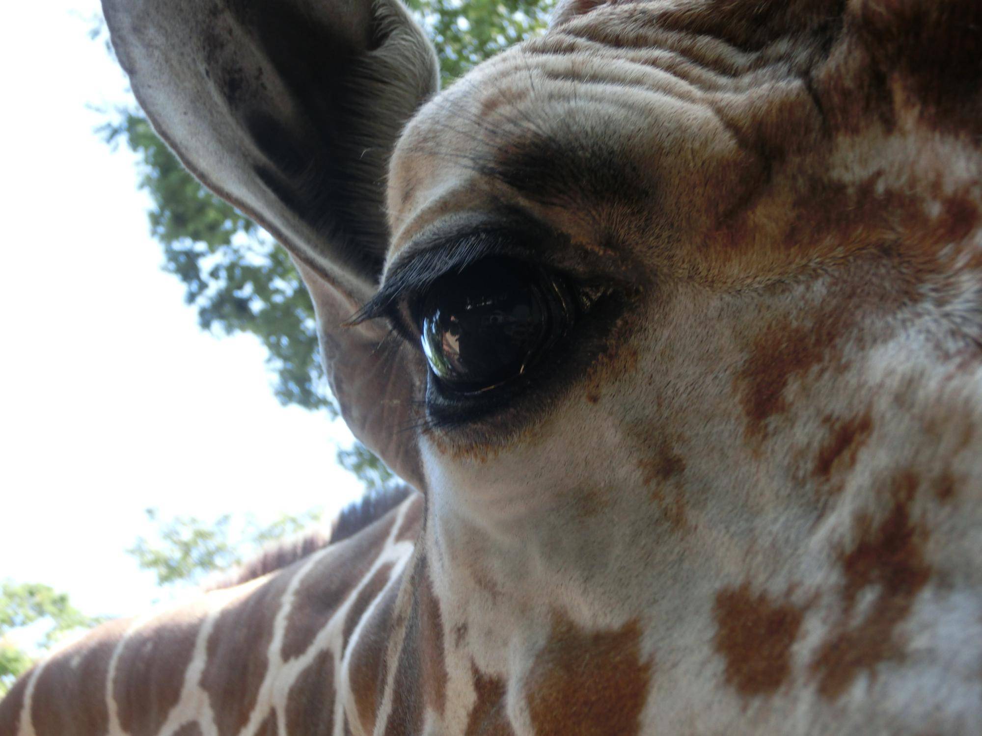 見つめる「そら」