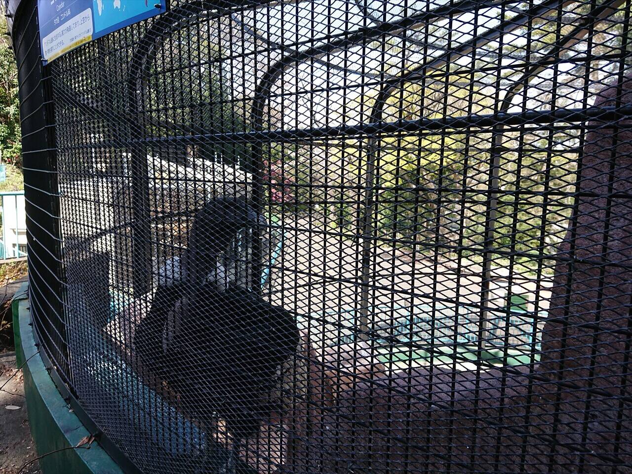 /zoo/nogeyama/authorc8504/DSC_7940_R.jpg