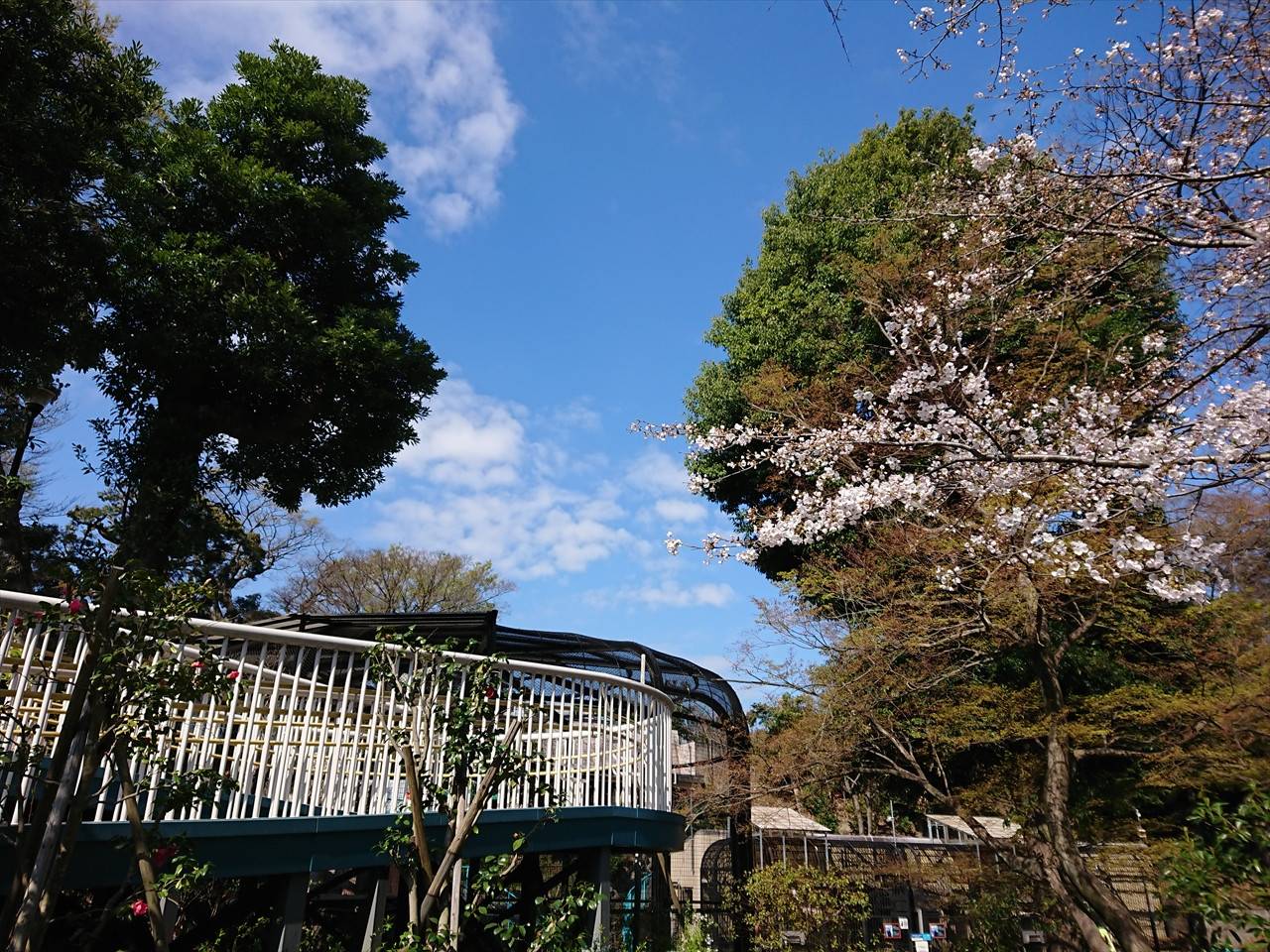 /zoo/nogeyama/authorc8504/DSC_9014_R.jpg