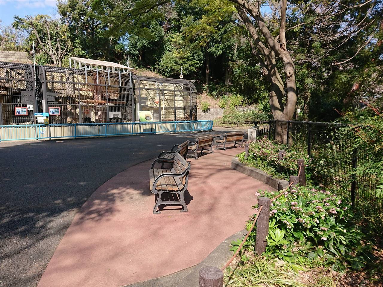 /zoo/nogeyama/authorc8504/DSC_9017_R.jpg