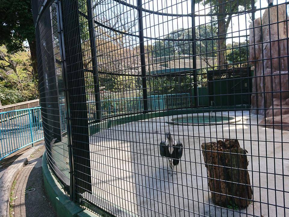 /zoo/nogeyama/authorc8504/DSC_9018_R.jpg