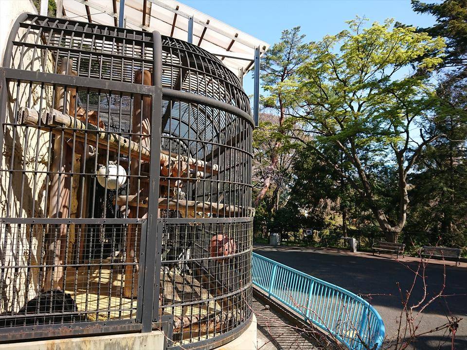/zoo/nogeyama/authorc8504/DSC_9019_R.jpg