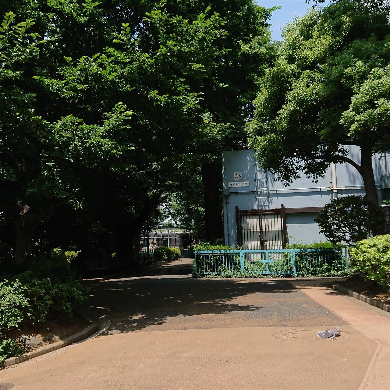 /zoo/nogeyama/authorc8504/IMG_20200528_121624_561_R.jpg