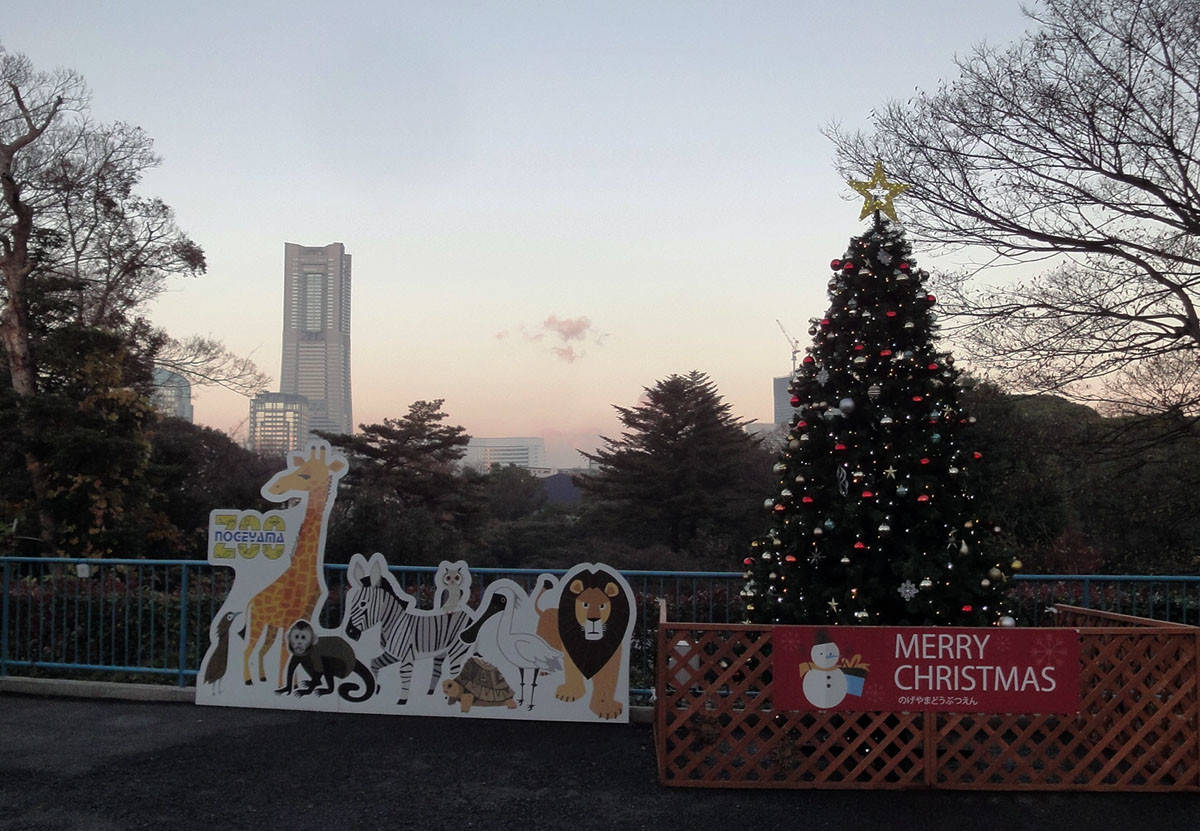 クリスマスツリー.jpg