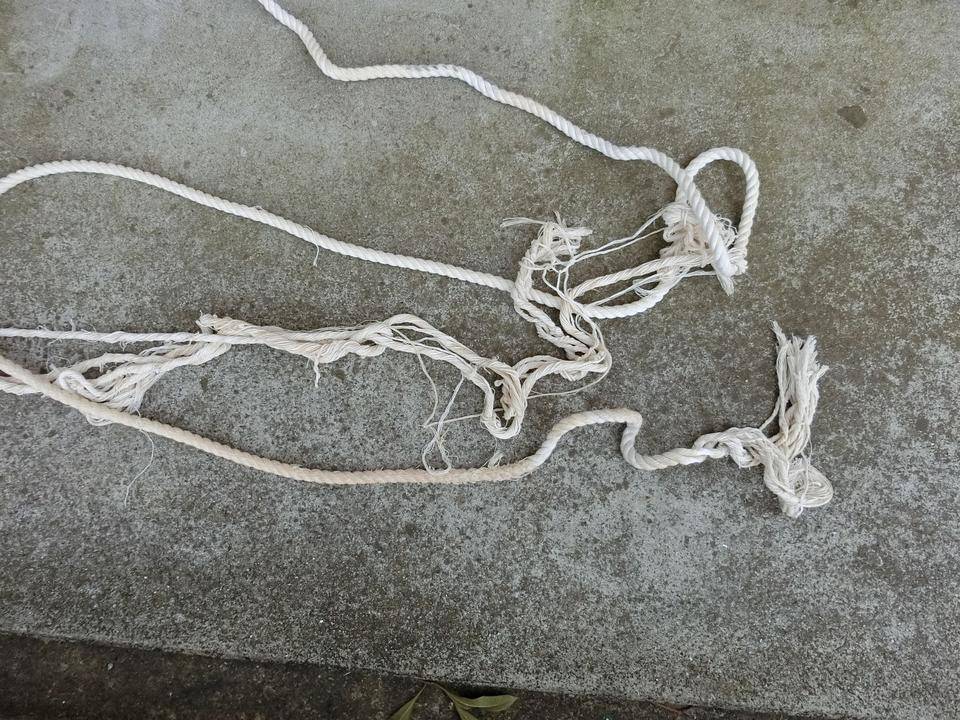 無残にも引きちぎられたブランコのロープ.jpg