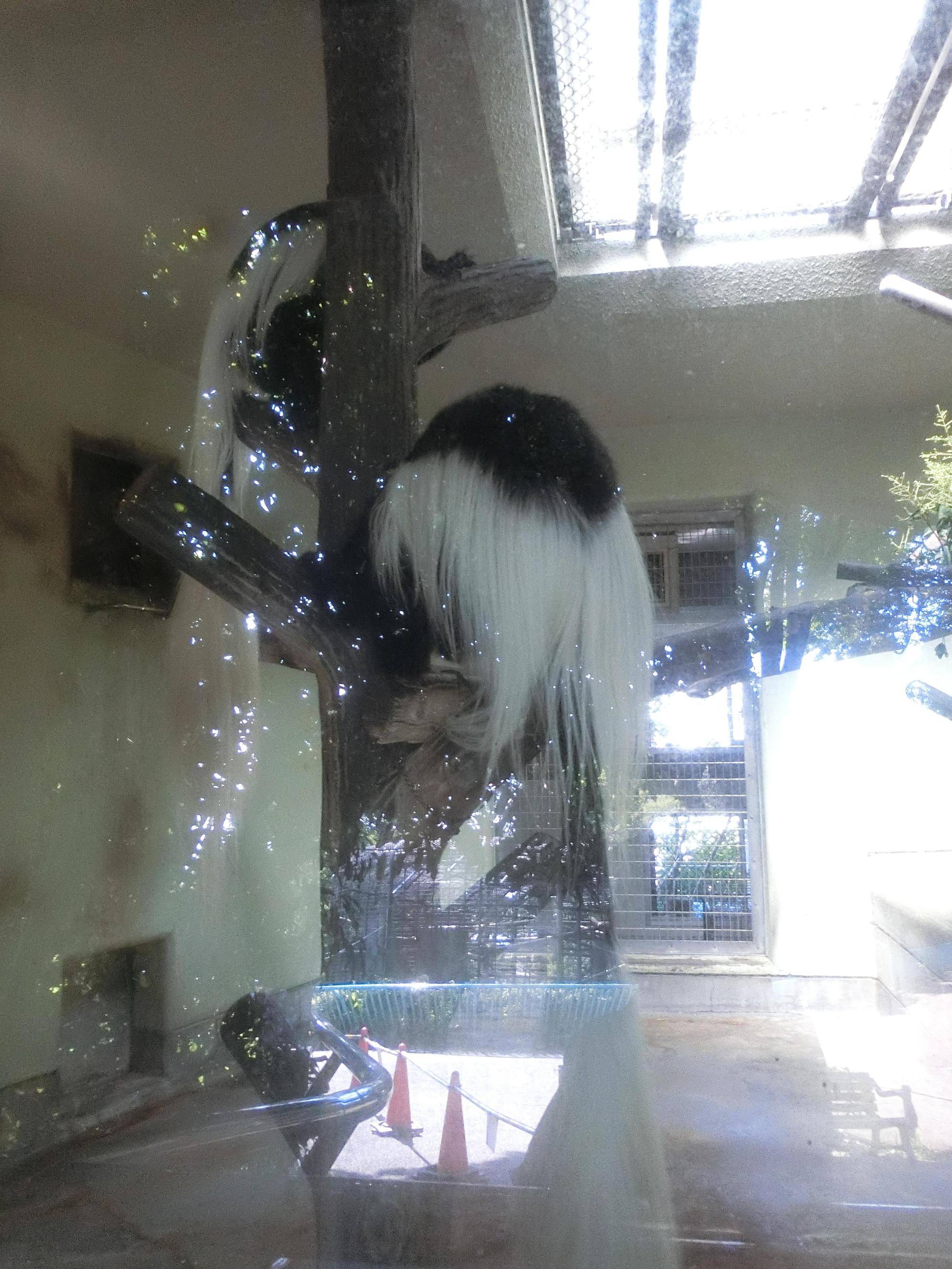 お部屋の中.jpg