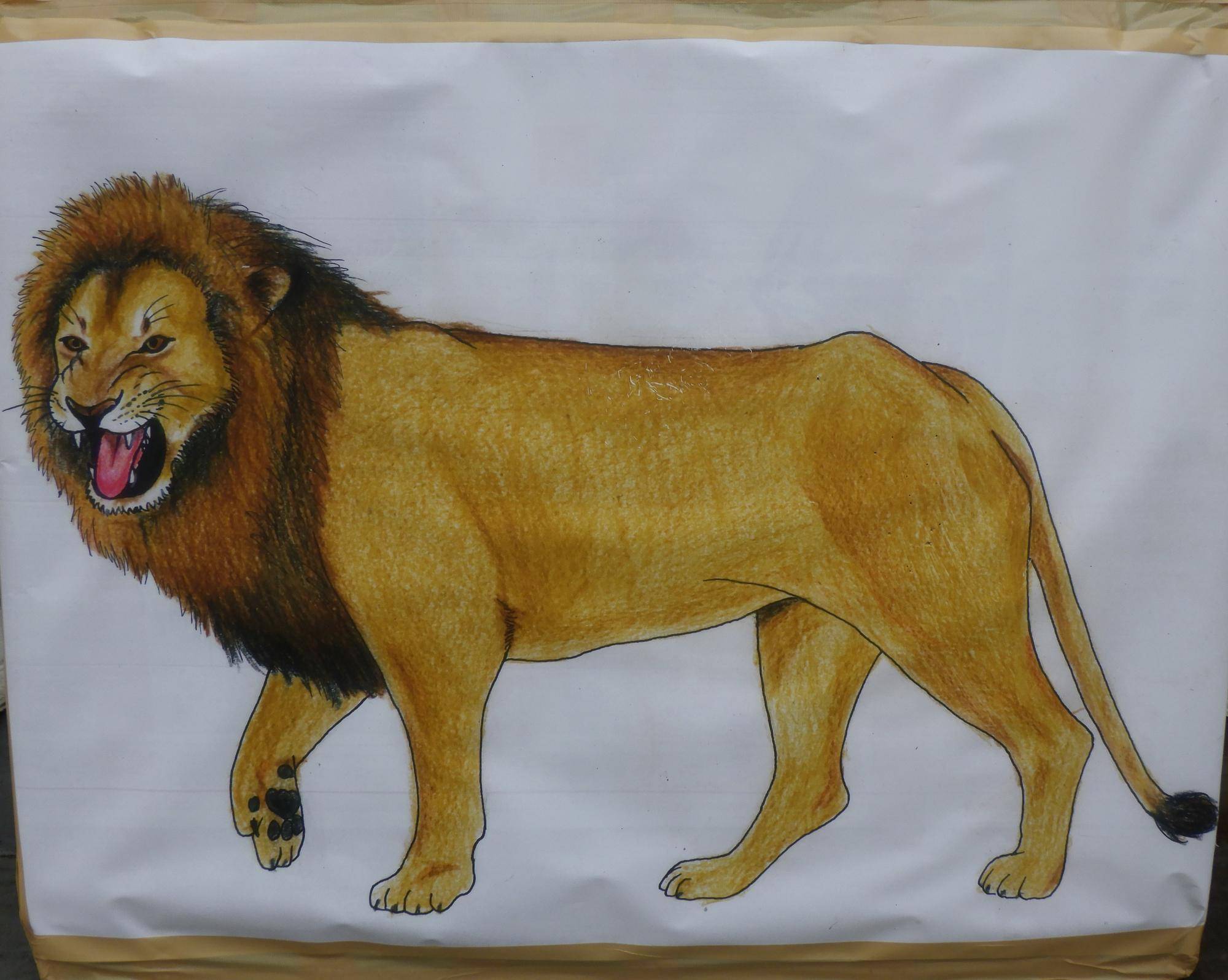 ライオンの絵の的.jpg