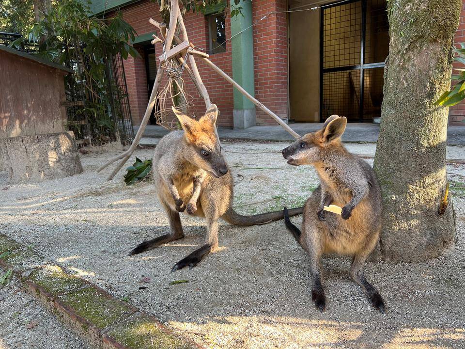 アスタとオハナ ②.jpg