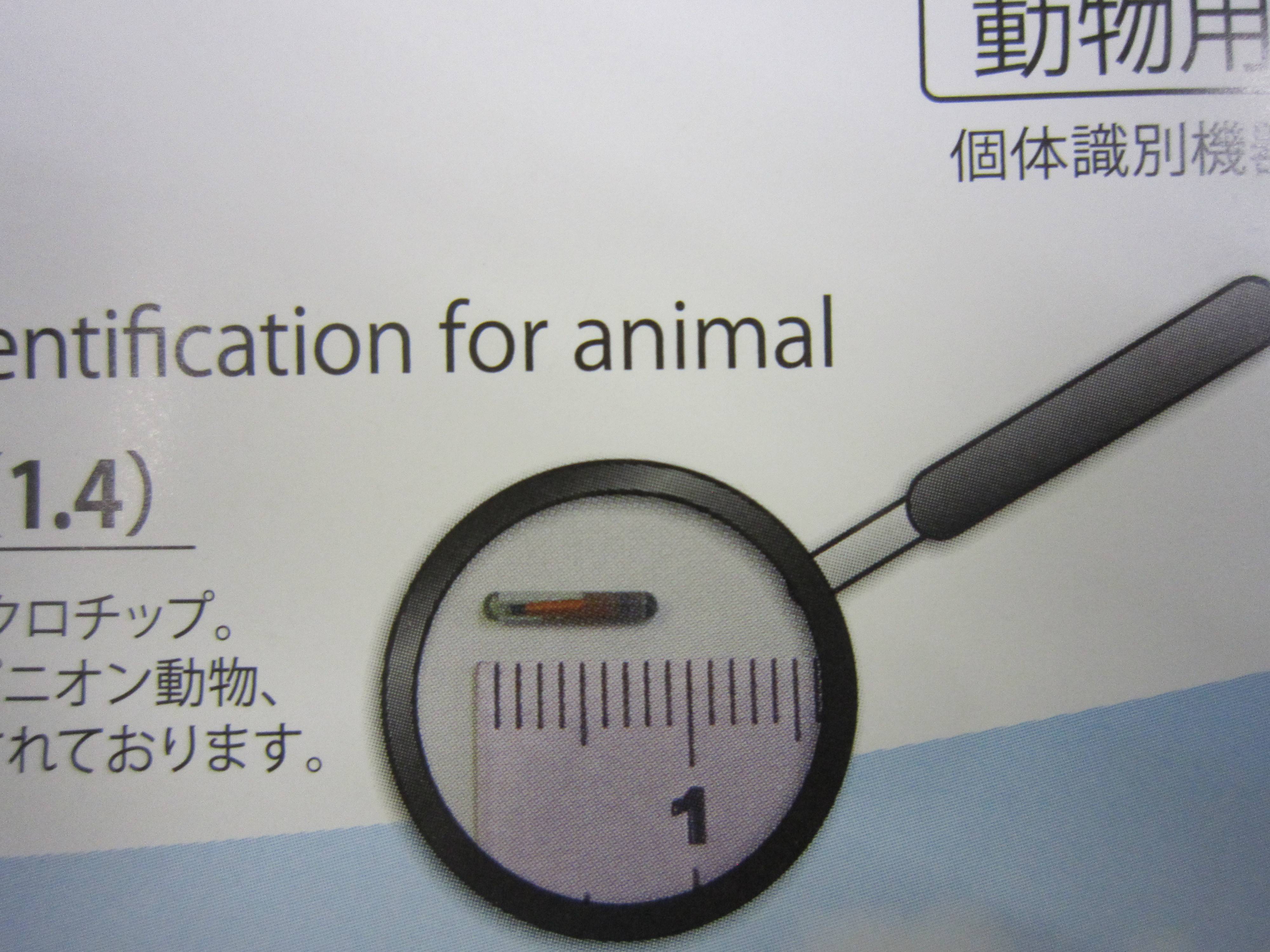 マイクロチップ.jpg