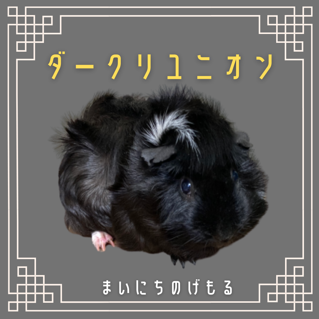 ダークリユニオン.png