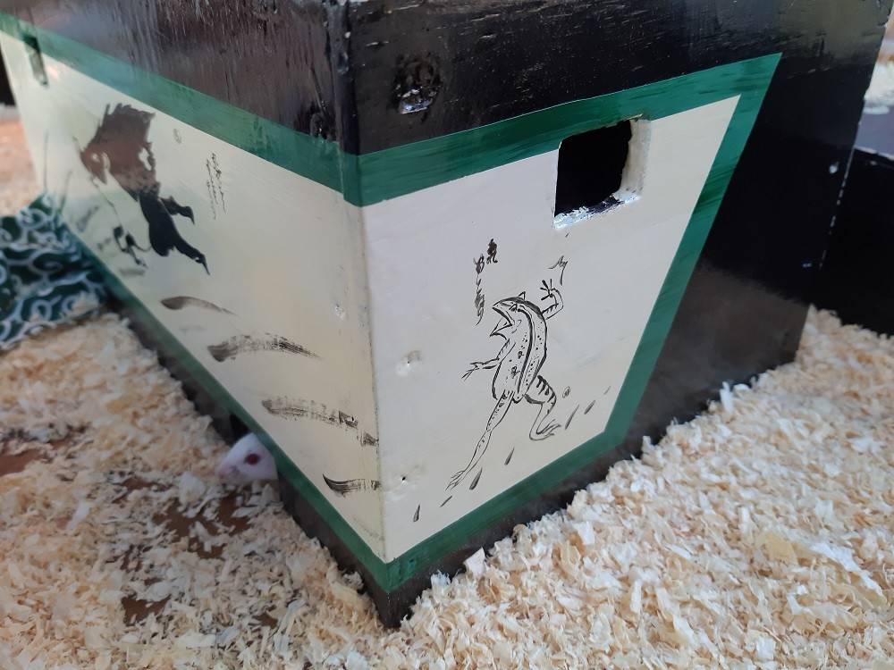 鳥獣戯画.jpg