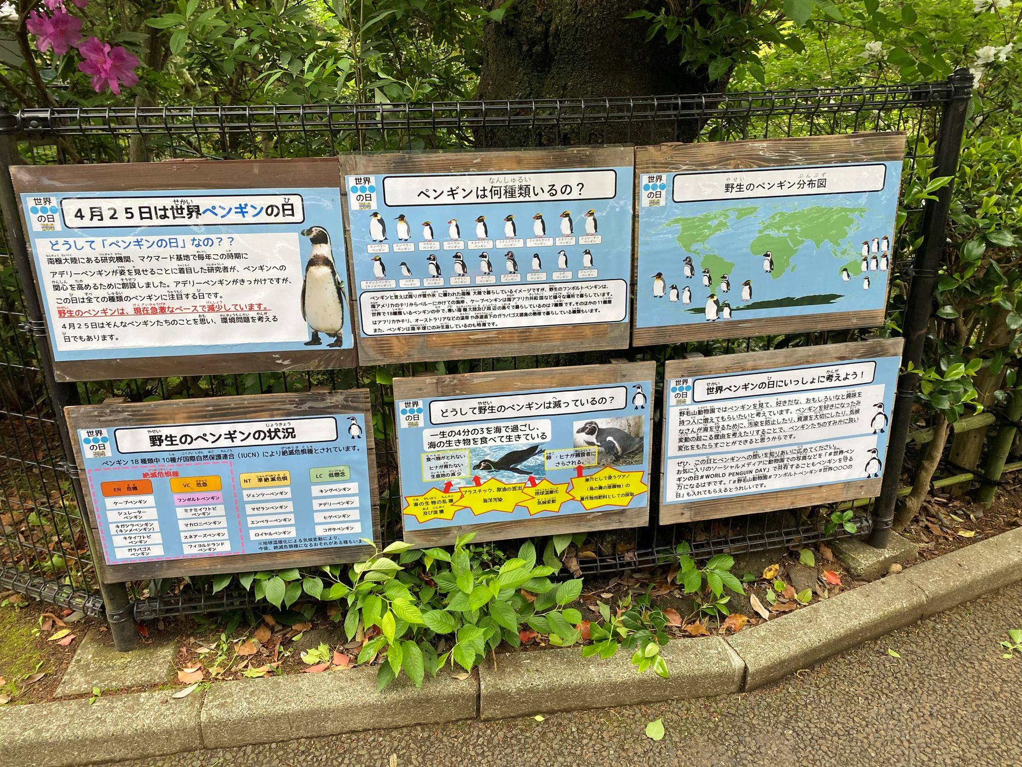 ペンギンの日　掲示物.jpg
