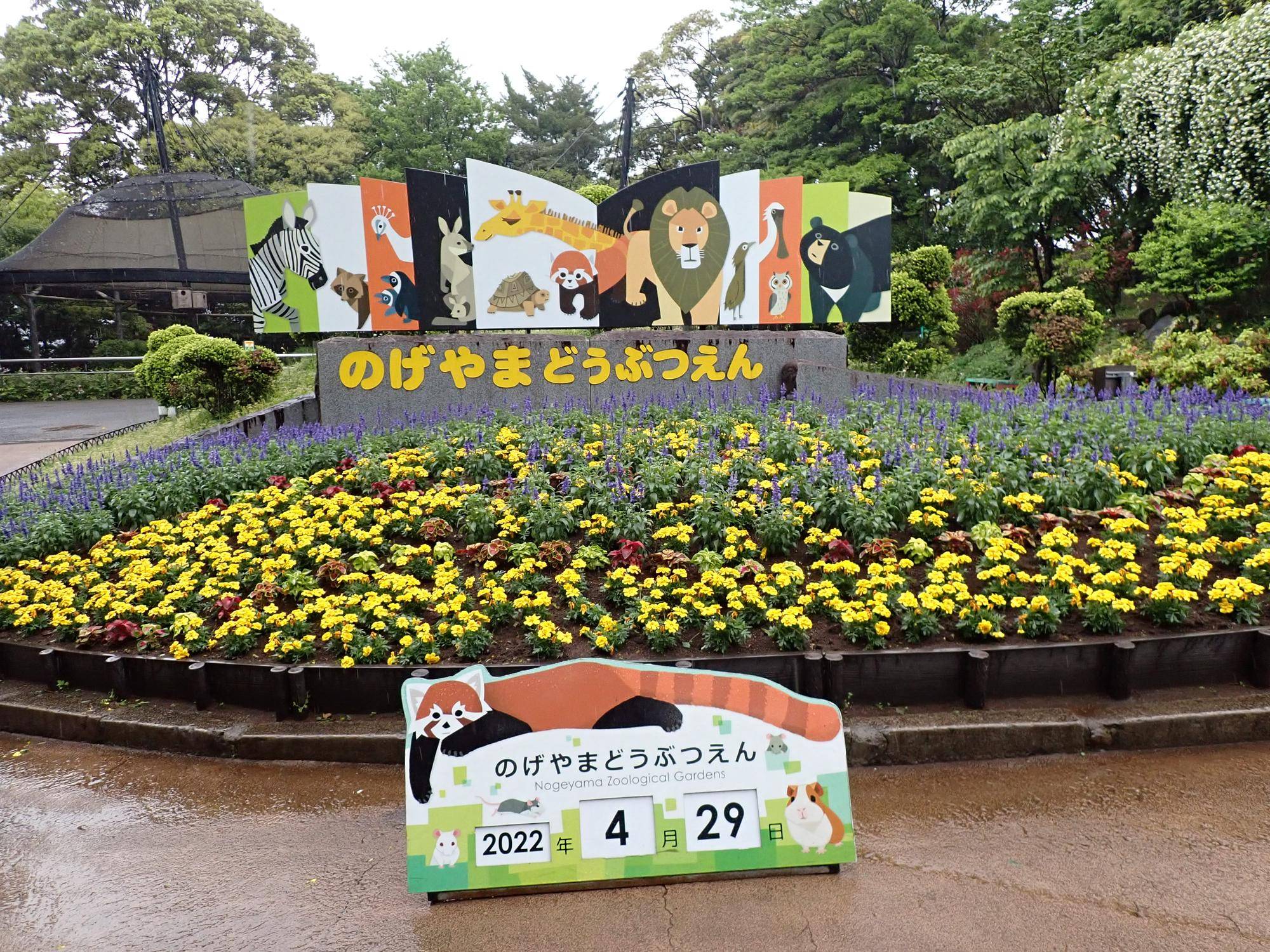 GWに突入した野毛山動物園入園口の花壇.jpg