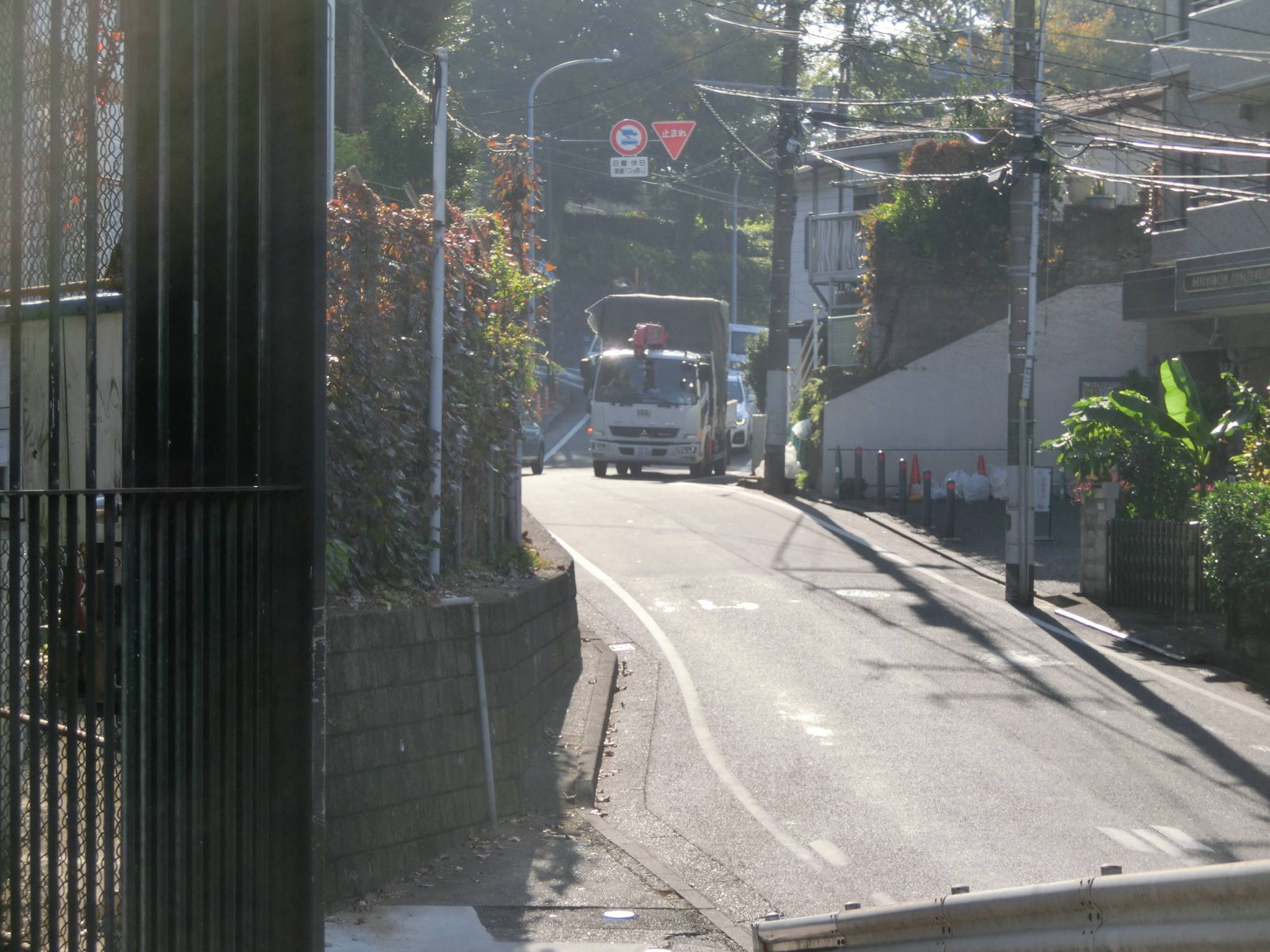 ラッキーがやってきた日 動物トピックス 野毛山動物園公式サイト 公益財団法人 横浜市緑の協会 ラッキーがやってきた日 動物トピックス 野毛山動物園公式サイト 公益財団法人 横浜市緑の協会