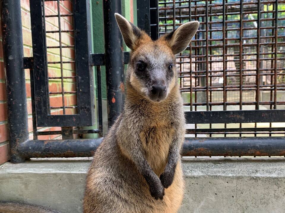 パーシー ブログ⑤.jpg