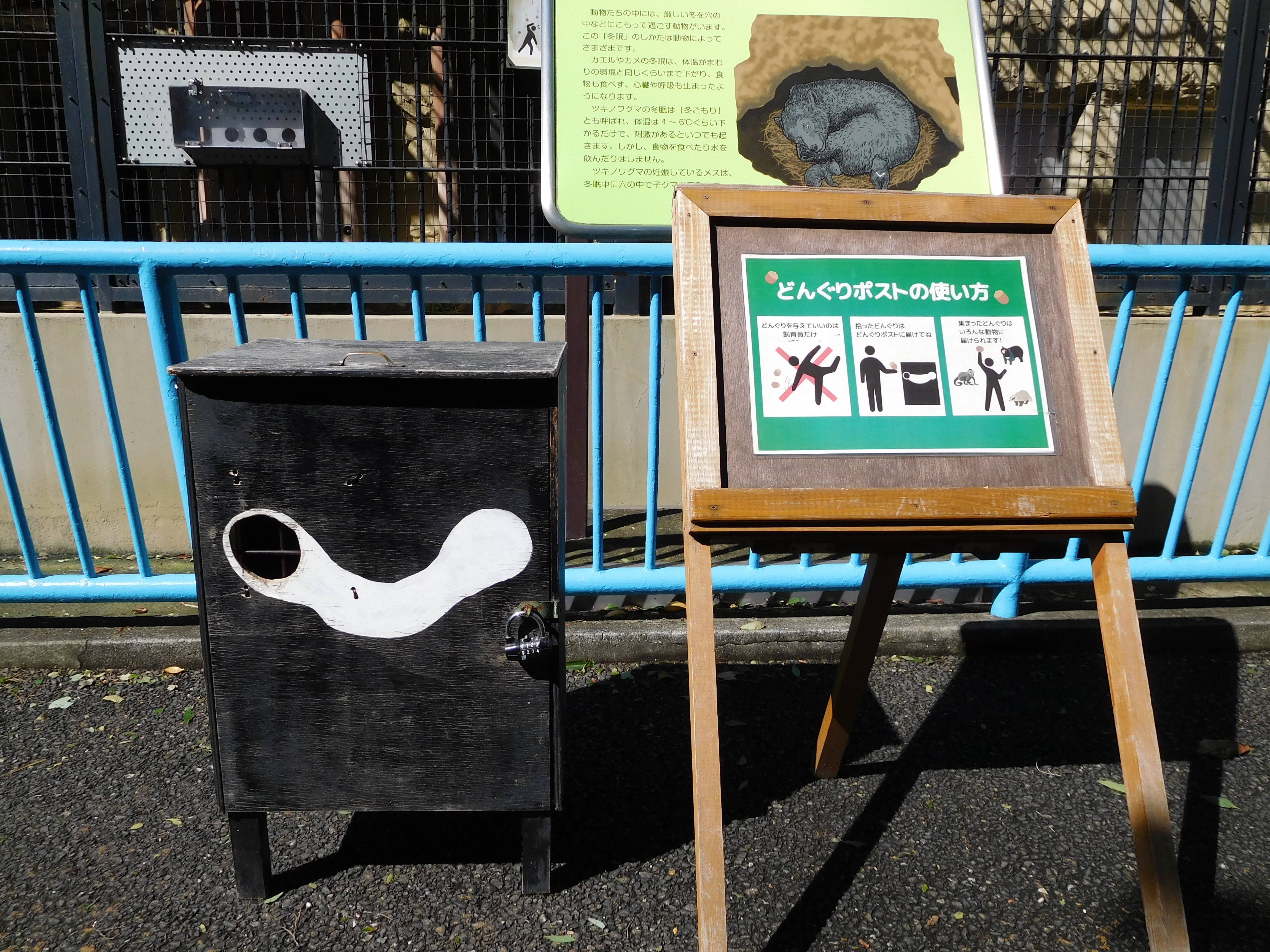 今年もどんぐりポストを開設しました|動物トピックス｜ブログ|野毛山