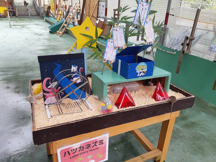 tanabata1-2.jpg