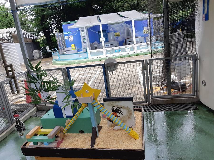 tanabata1.jpg