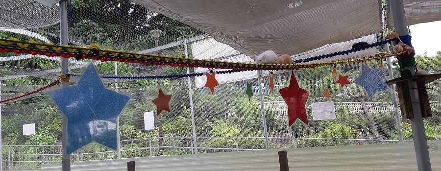 tanabata6.jpg