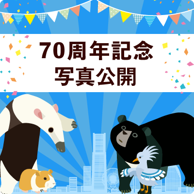 野毛山動物園公式サイト 公益財団法人 横浜市緑の協会