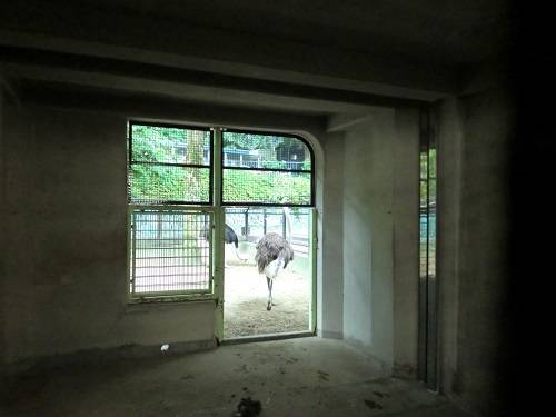 グミ 帰る.jpg