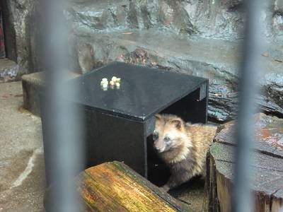 ブログ5.jpg