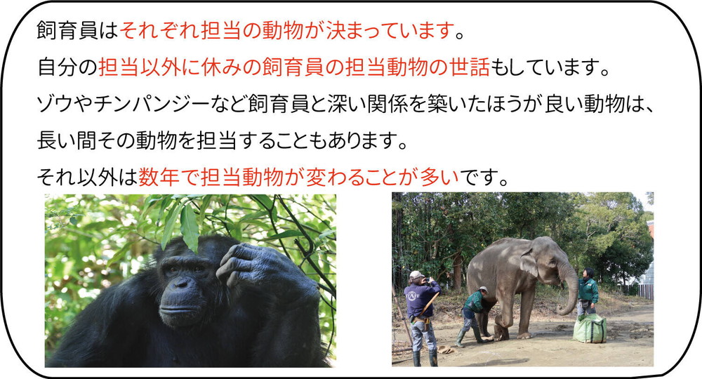 回答4飼育員のお世話する動物.jpg